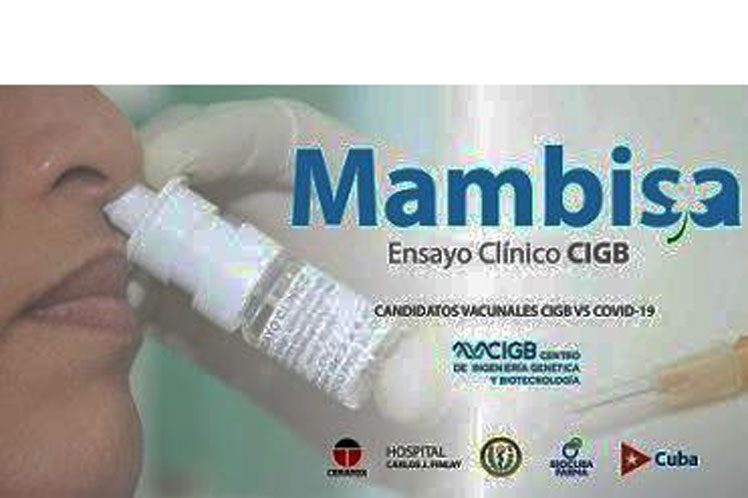 avanzan-ensayos-clinicos-de-candidato-vacunal-mambisa-de-cuba