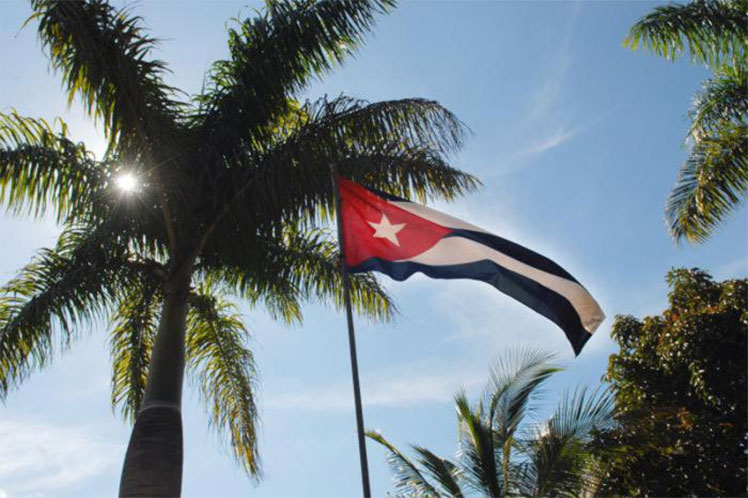 Cuba-bandera-palma