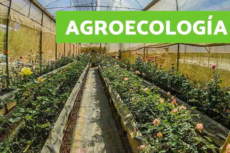 premiaran-a-ganadores-de-concurso-de-agroecologia-en-cuba