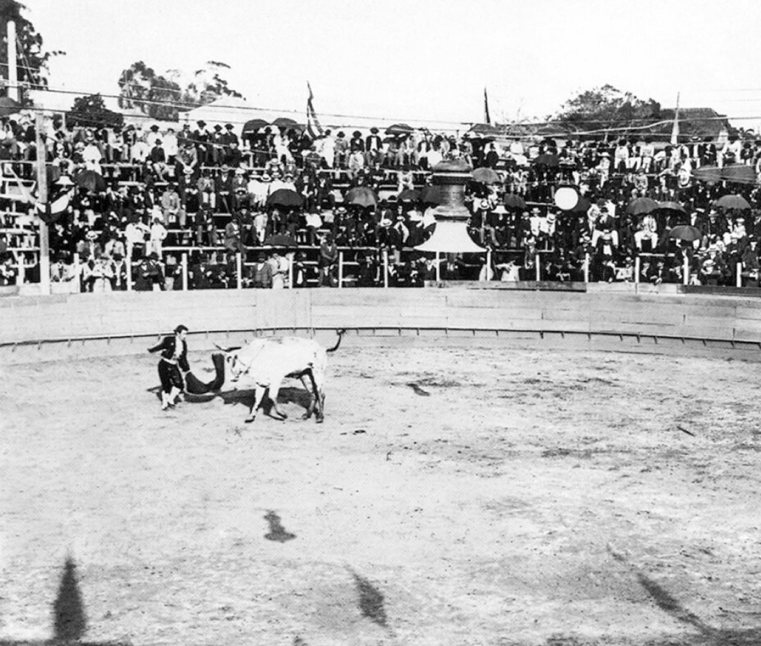 Corridas-de-toros