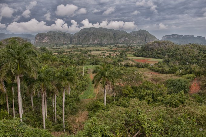 natauraleza Cuba COP26 Canel