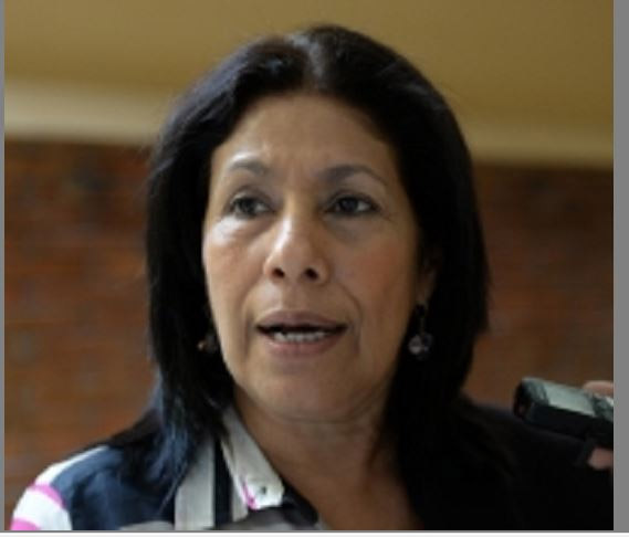 María Auxiliadora Martínez, elecciones