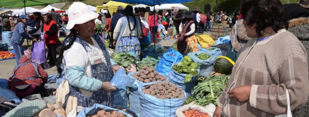 inflacion-Bolivia-baja