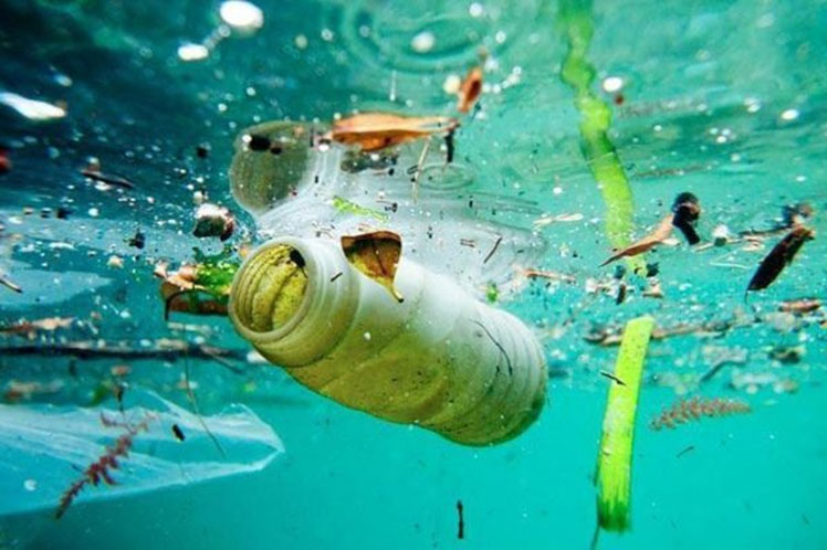 plastico en los mares