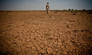 egipto-advierte-sobre-consecuencias-del-cambio-climatico-en-africa