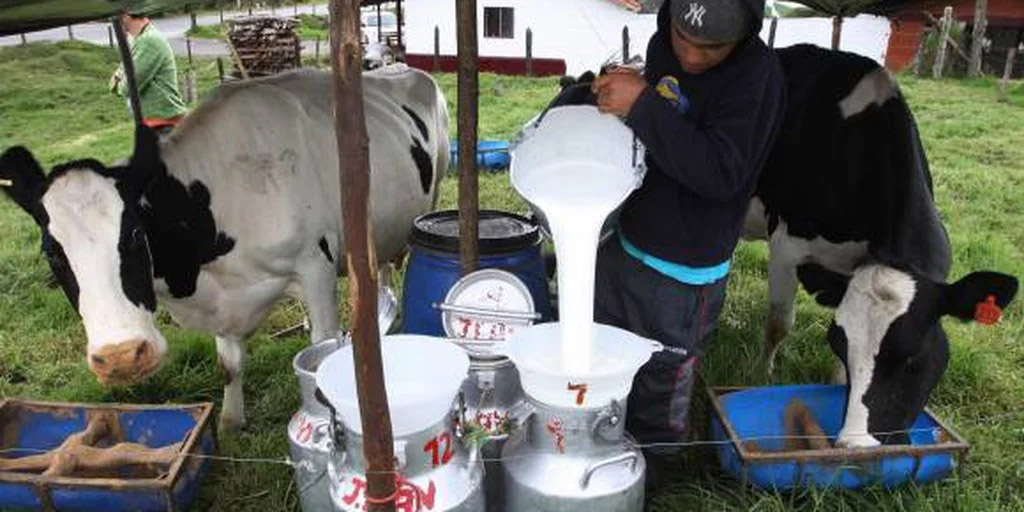 Colombia, producción, leche, difícil, situación