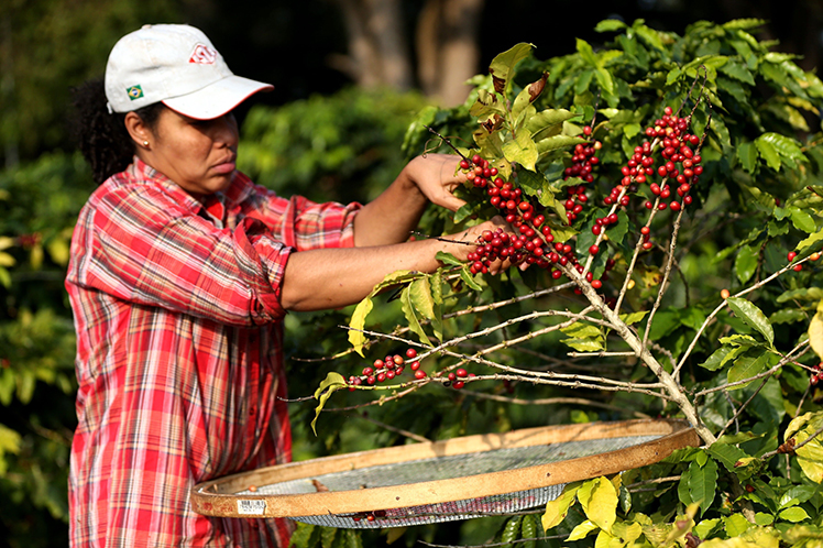 Mujeres-en-el-café