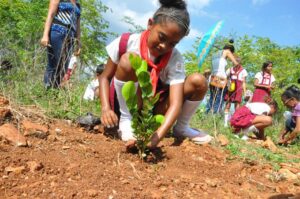 educación ambiental