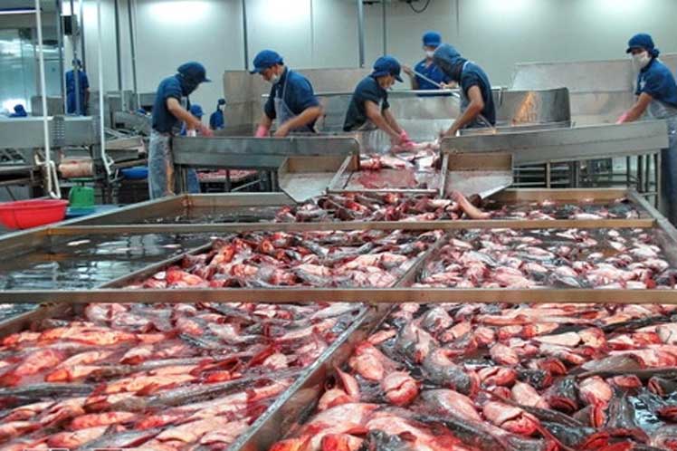 exportaciones-pesqueras-vietnamitas-cerca-de-su-meta-anual