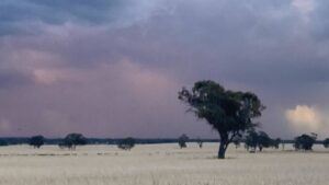 Australia-fresco-lluvia