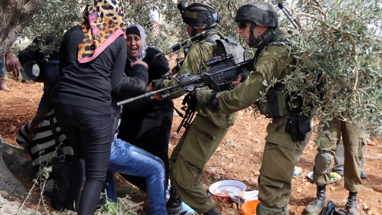 denuncian-complicidad-del-ejercito-con-violencia-de-colonos-israelies