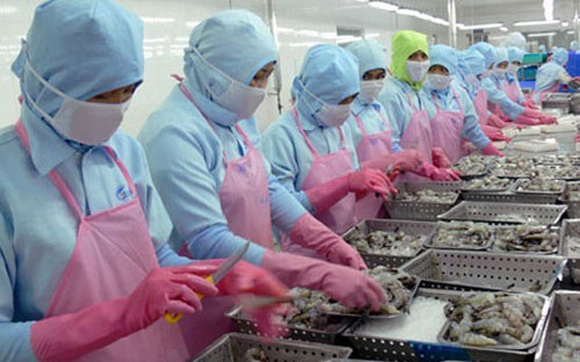 notable-aumento-de-exportaciones-vietnamitas-de-camarones