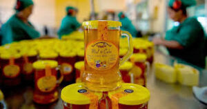 resaltan-acuerdo-entre-cuba-y-guyana-para-impulsar-produccion-de-miel