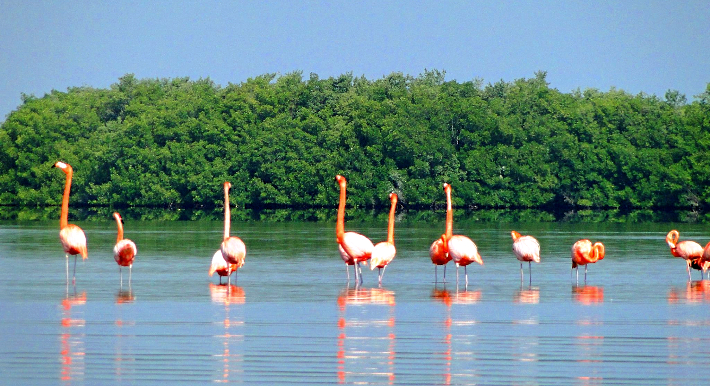 sitios Ramsar de Cuba