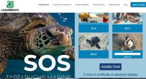 tortugas marinas italia