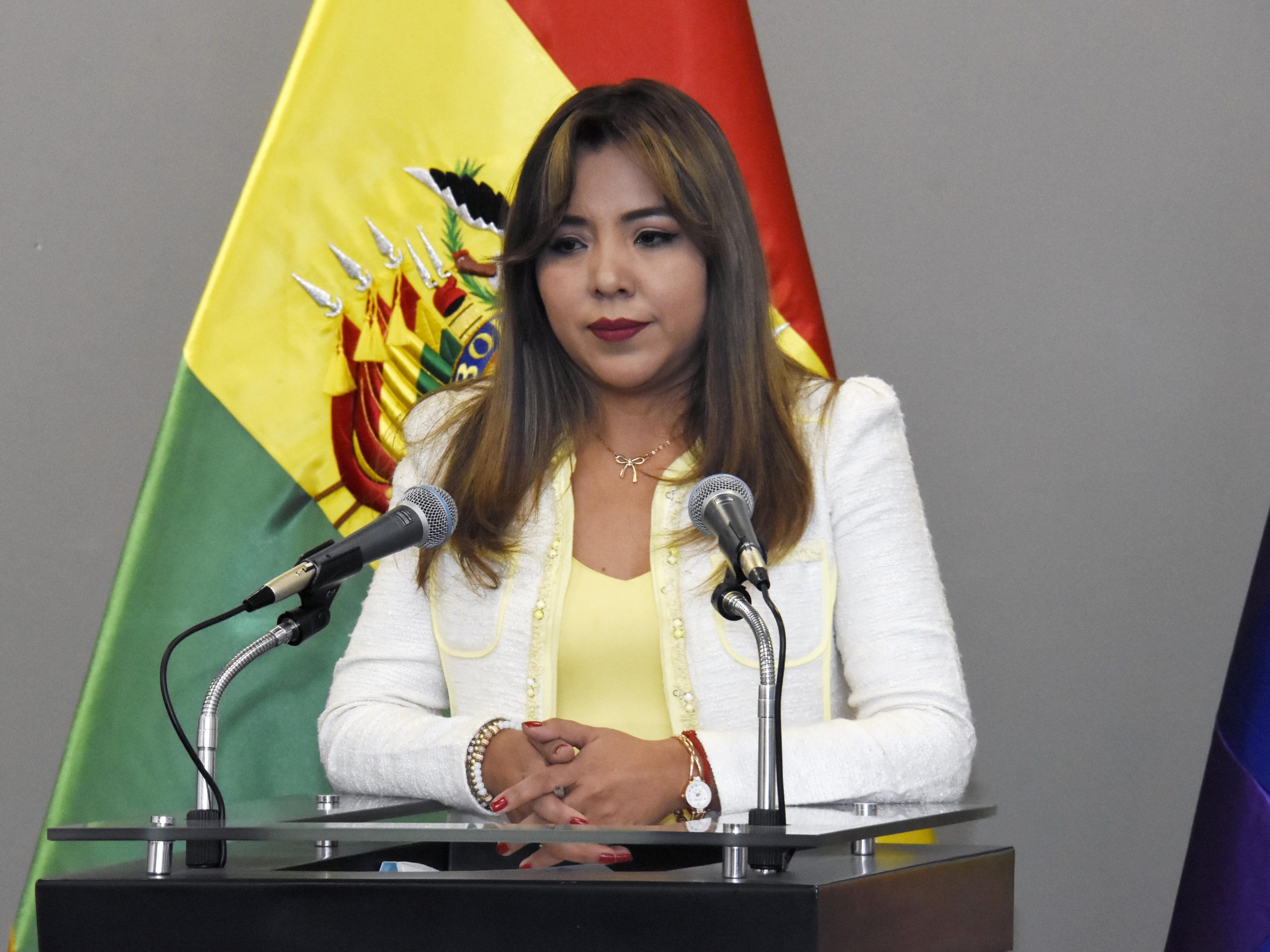 viceministra-de-bolivia-rebate-criticas-de-jefa-militar-de-eeuu
