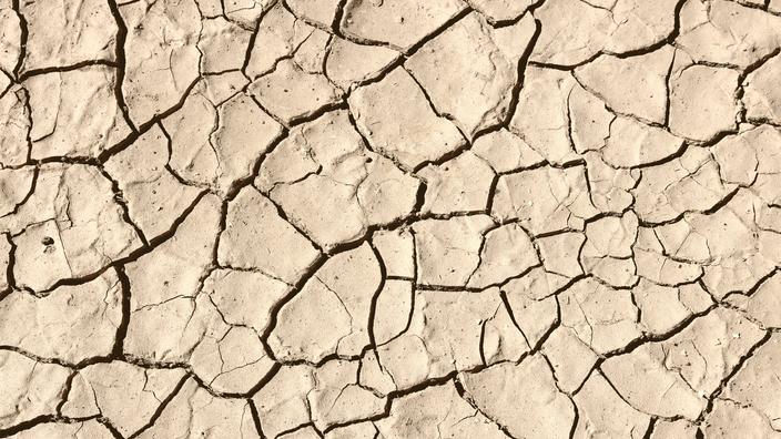 Cambio climático provoca mayor sequía en un milenio en Norteamérica