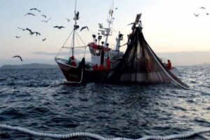 barcos-pesueros-mexico