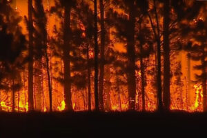 Corrientes, incendio, ayuda, Bolivia