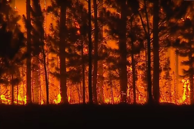 Corrientes, incendio, ayuda, Bolivia