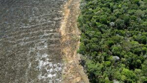 mas-deforestacion-menos-lluvias-en-los-tropicos