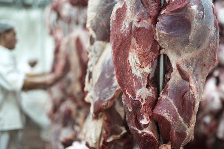 paraguay-exporto-128-mil-toneladas-de-carne-bovina-en-cinco-meses