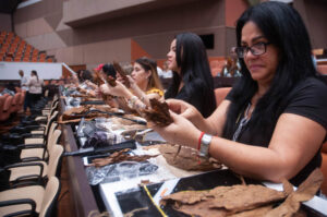 tabaco, mujeres, Festival del Habano