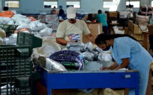 Paquetería internacional en Cuba