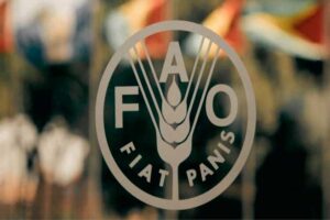 fao-aboga-por-fortalecer-alimentacion-escolar-en-latinoamerica