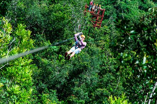 canopy-viñales (Small)