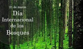 Día, Internacional, bosques