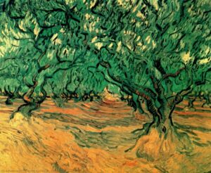 pintura de olivos de Van Gogh