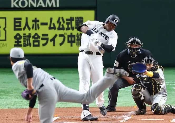 Dominicano Polanco pega su segundo jonrón en béisbol de Japón