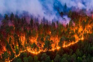 sequia-intensificara-incendios-forestales-en-oeste-de-eeuu