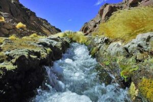 Bolivia reclama soberanía sobre canales artificiales del Silala
