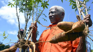 caricom agricultura