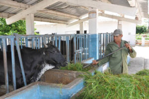 Cuba, feria, agropecuaria, inversiones, agricultura