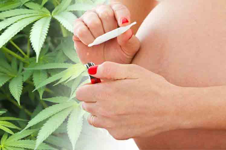 vuelve-la-alerta-sobre-consumo-de-cannabis-en-embarazadas