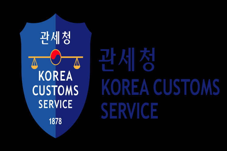 Surcorea, Latinoamérica, servicios, aduaneros