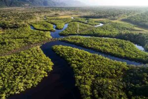 autoridades-venezolanas-proponen-nuevo-destino-turistico-en-amazonas