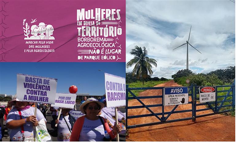 brasilenas-marcharan-por-la-vida-y-sus-producciones-rurales