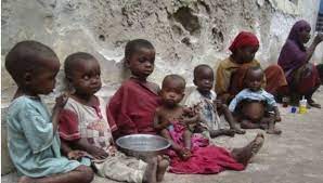 crisis alimentaria Africa