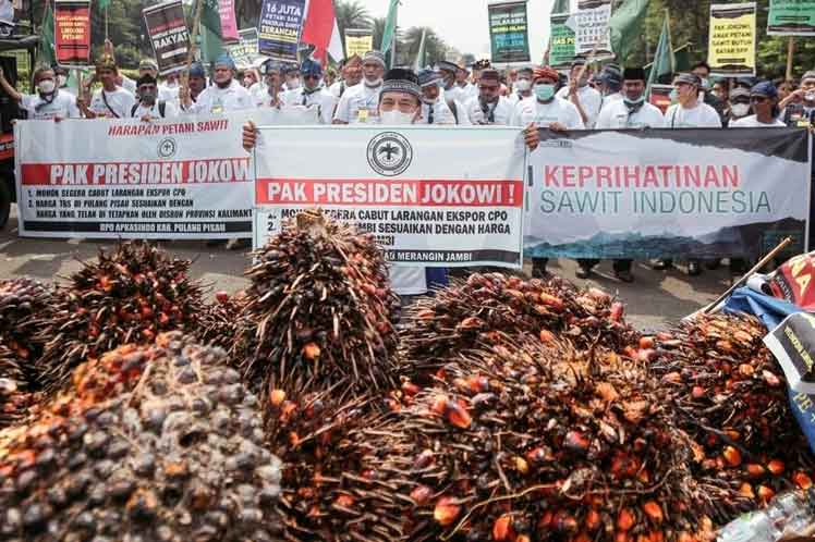 indonesia-levantara-prohibicion-de-exportacion-de-aceite-de-palma