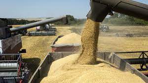 india-envio-otras-tres-mil-toneladas-de-trigo-para-afganistan