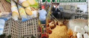 exponen-en-cuba-nuevas-tendencias-en-el-campo-azucarero