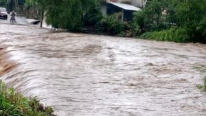 CELIA tormenta mexico