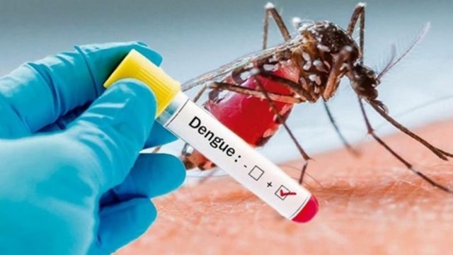 alta-incidencia-de-dengue-en-republica-dominicana-provoca-alertas