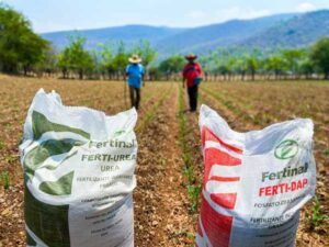 crecio-exportacion-rusa-de-fertilizantes-en-2022