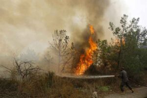 INCENDIO-FORESTAL