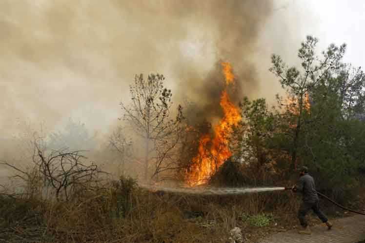 INCENDIO-FORESTAL